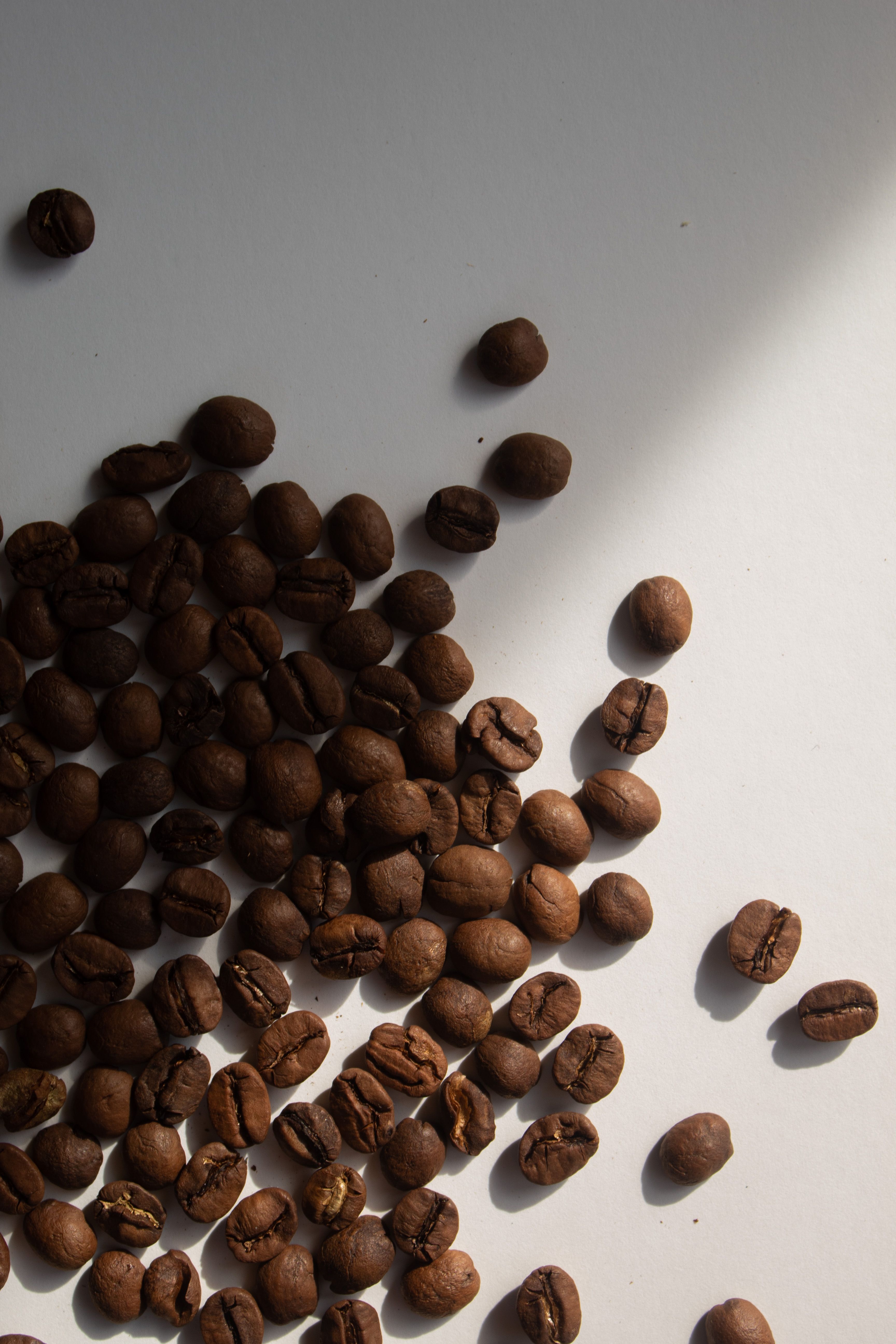Coffee beans and a warm, rustic coffee setting